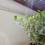 Lindo sobrado com 4 suites e piscina à venda, 365m², por R$ 2.450.000,00 no condomínio Villa Suiça, em Indaiatuba/SP.