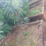 Chácara no Condomínio Vale das Laranjeiras em Indaiatuba SP - Venda - R$ 3,600.000,00 - Locaçao - R$ 30.000,00 mais encargos - Linda, espaçosa, aconchegante, acabamento de alto padrão em rua tranquila e arborizada, em um dos Condomínios mais valorizados de Indaiatuba. Com fácil acesso as principa
