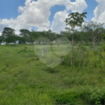 Sitio para venda.