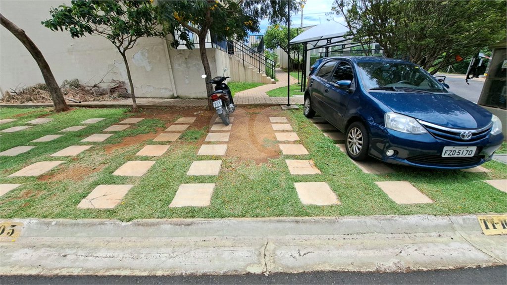 Monte dos Pinheiros — o começo de uma nova fase para sua família
