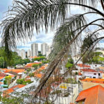 Casa de Alto Padrão à Venda em Condomínio Fechado no Barro Branco | 4 Suíte | 6 Vagas