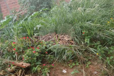 Terreno na Cidade Aracy