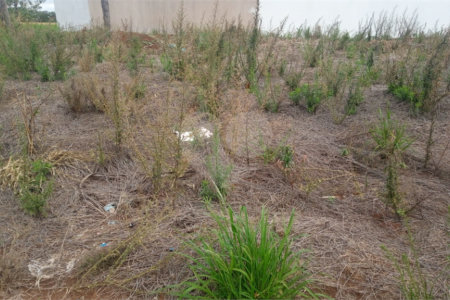 Lote no Jardim do Bosque, aceita financiamento ou aquisição de terreno e construção .