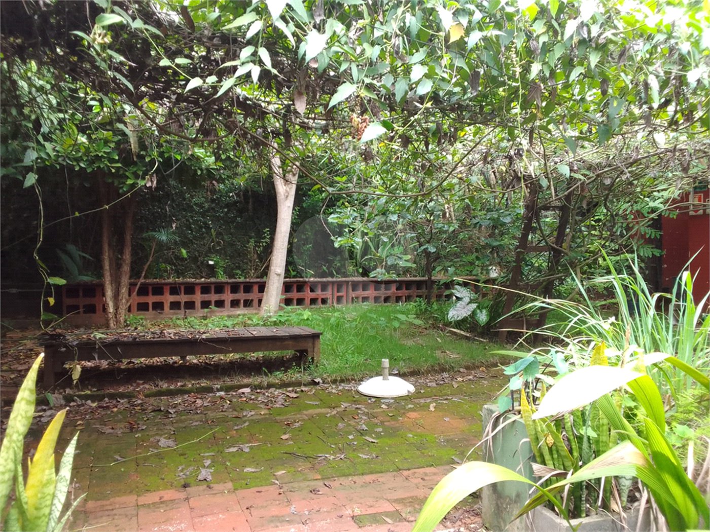 Galpão Comercial à Venda ou Locação – Rua 9 de Julho – Espaço Versátil e Arborizado