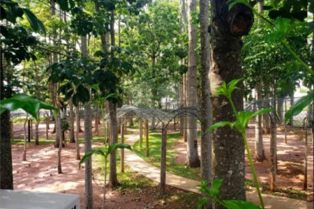 Terreno a venda no Faber III