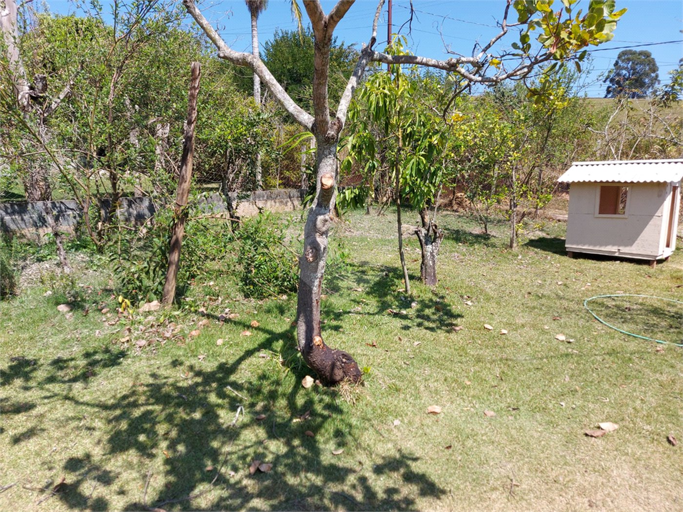 Chácara à venda com 4 quartos em Área Rural de Louveira, Louveira, SP