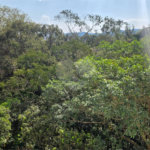 Apartamento à Venda no Condomínio Sítio Anhanguera – Jardim Santo Elias | São Paulo