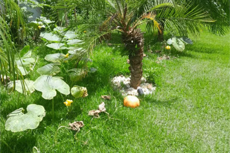 Casa à venda com 3 suítes em Moinho Velho, Cotia, SP