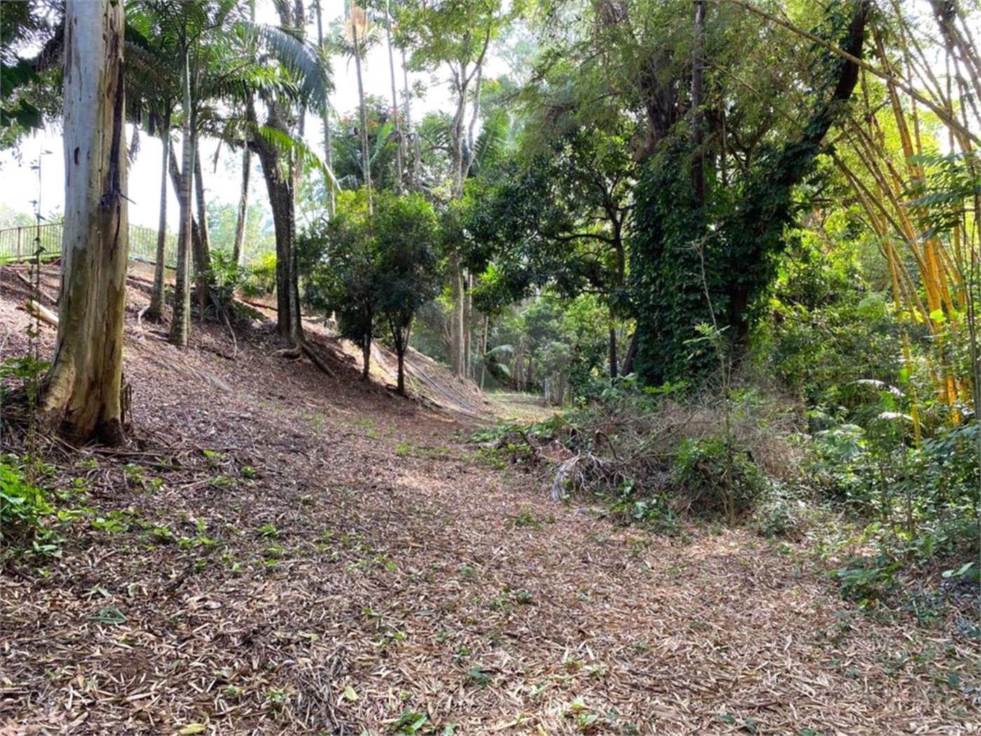Excelente imóvel rural, situado em Analândia/SP