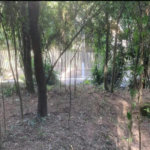 Terreno à venda em Jardim Peri Peri, São Paulo, SP