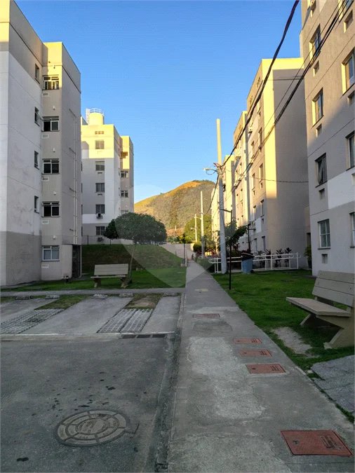 APE NOVINHO EM CACHAMORRA