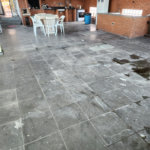 Sobrado, a venda, com 3 suítes, 7 vagas de garagem e salão de festas - Vila Aurora / SP