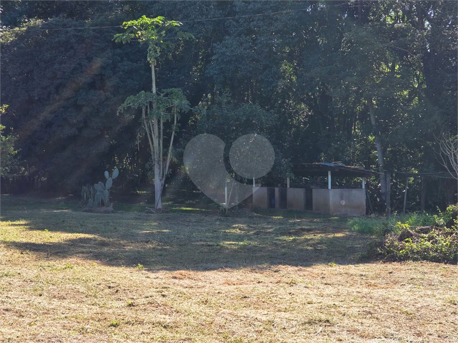 Sitio Granjeiro região de Água Vermelha 6,5 Alqueires (16,5 Hectares)