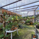 Terreno à venda em Vila Pirajussara, São Paulo, SP