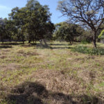 Terreno no Aracê de Santo Antonio.