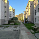 APE NOVINHO EM CACHAMORRA