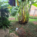 Casa térrea à venda no bairro Vila Monteiro — espaço, conforto e excelente localização em uma das regiões mais tradicionais de Piracicaba.