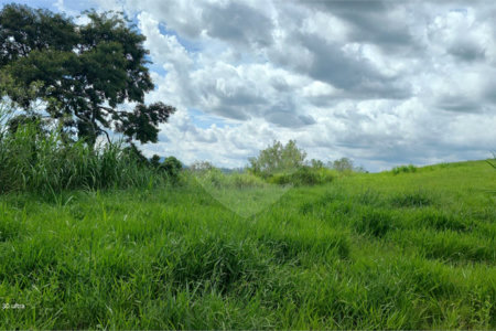 GLEBAS RURAIS EM PIRACAIA A PARTIR 20.000 M², EXCELENTE PARA CHÁCARAS E FAZENDINHAS