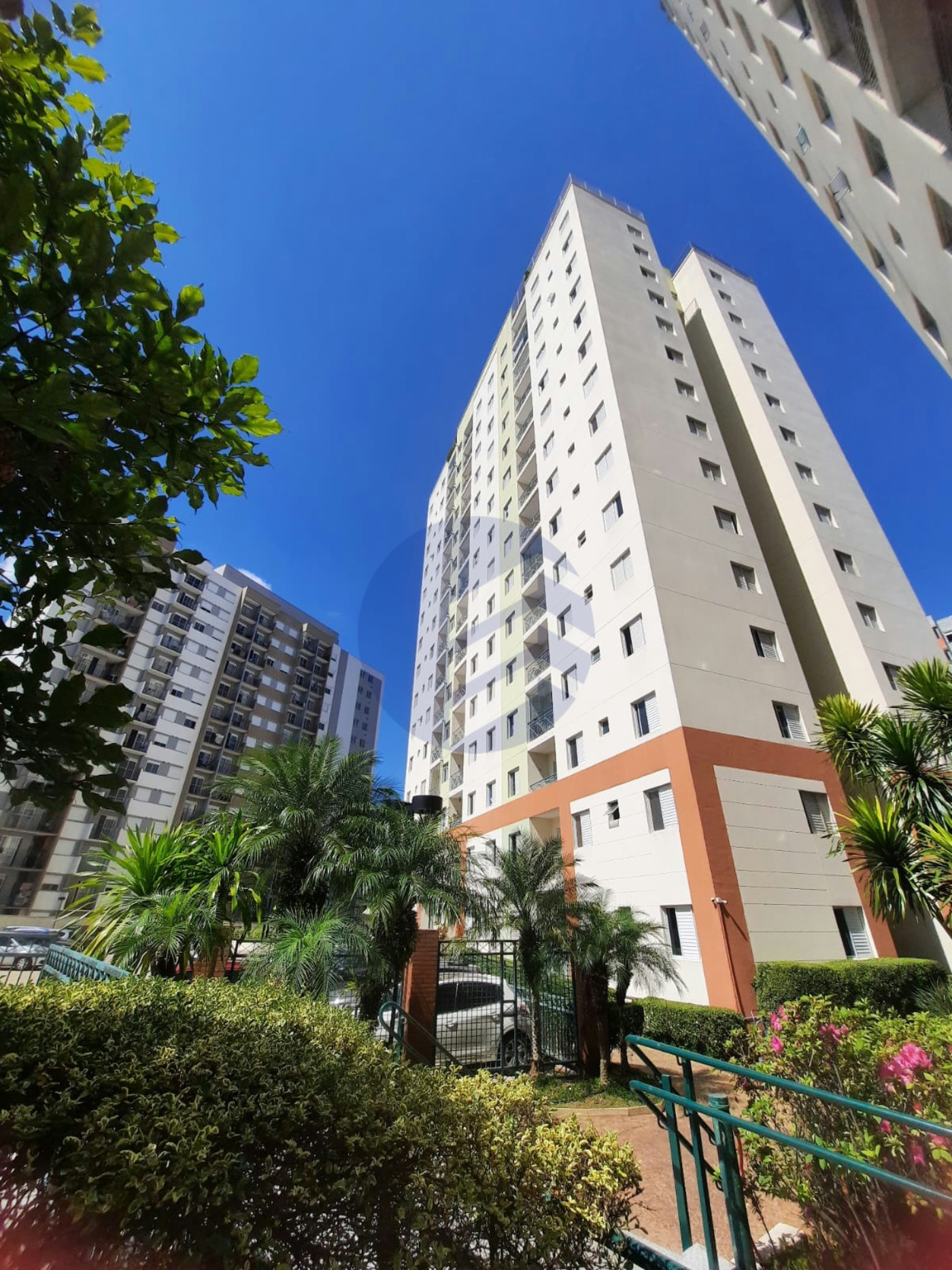 Apartamento à venda com 3 quartos, sendo 1 suíte, em Vila Butantã, São Paulo - SP