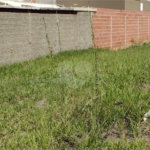 Terreno em Ibate
