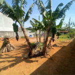 TERRENO À VENDA –717 m2 JD. UNIVERSO | MOGI DAS CRUZES/SP 649 mil