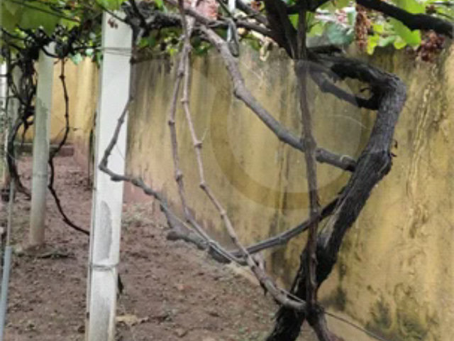 Casa à venda ou para alugar com 3 quartos em Casa Verde, São Paulo, SP