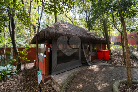 Apartamento à venda com 3 quartos, sendo 1 suíte,  em Vila Mascote, São Paulo, SP