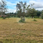 Loteamento Residencial em Condomínio