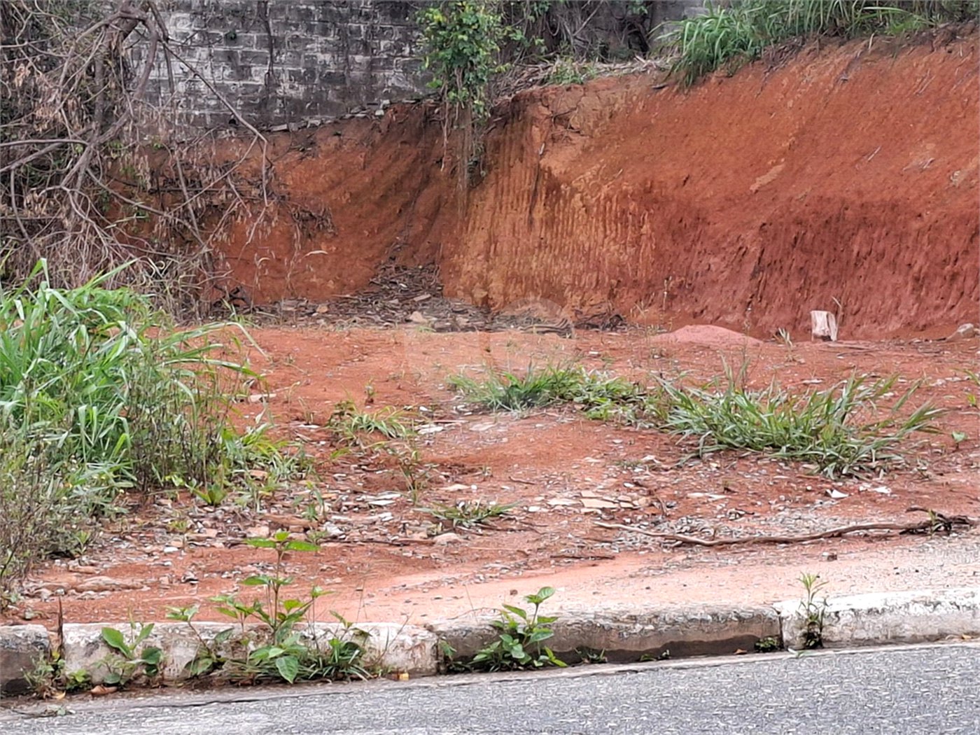 Terreno à venda em Vila Albertina, São Paulo, SP
