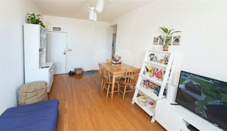 Apartamento à venda com 2 quartos em Parque Residencial da Lapa, São Paulo, SP
