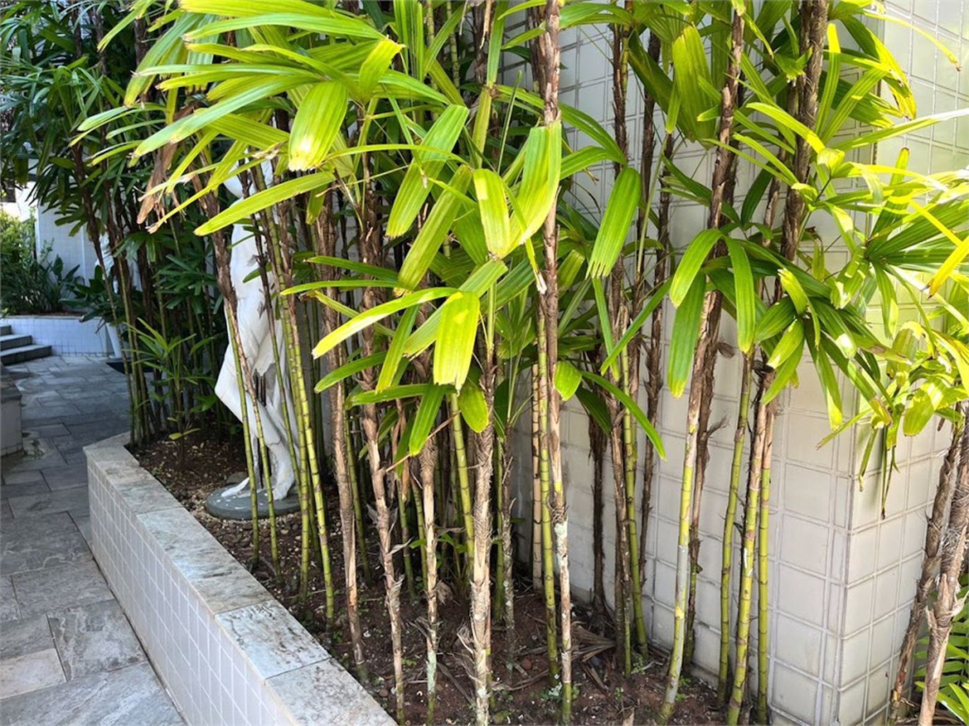 Apartamento Residencial à venda, Enseada, Guarujá - AP0868.