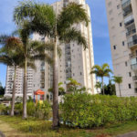 Apartamento à venda com 3 quartos, sendo 1 suíte, em Lapa, São Paulo, SP