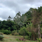Chácara à venda em Sorocamirim (canguera), São Roque, SP