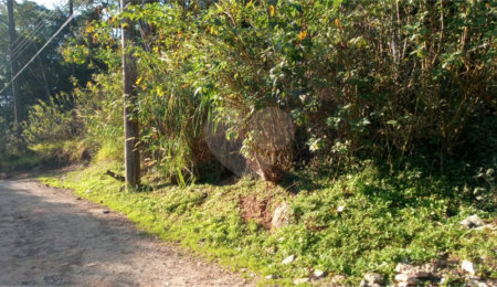 Terreno à venda em Caraguatá, Mairiporã, SP