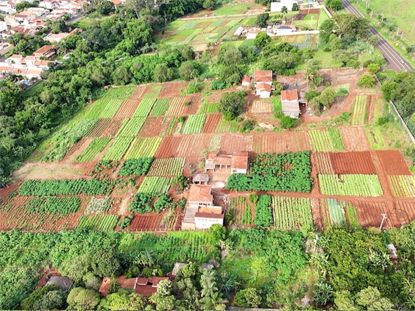 Terreno à venda em Jardim Itaú, Ribeirão Preto, SP
