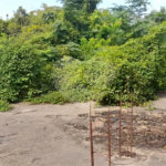 Terreno à venda em Guaratiba, Rio de Janeiro, RJ