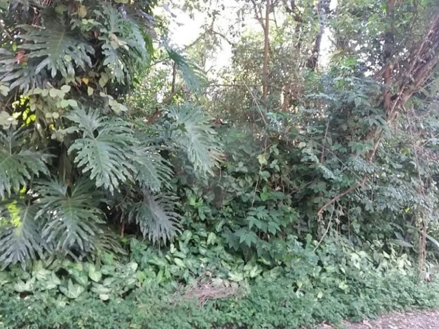 Terreno à venda em Tremembé, São Paulo, SP