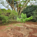Chácara à venda com 2 quartos em Jardim Califórnia, Araraquara, SP