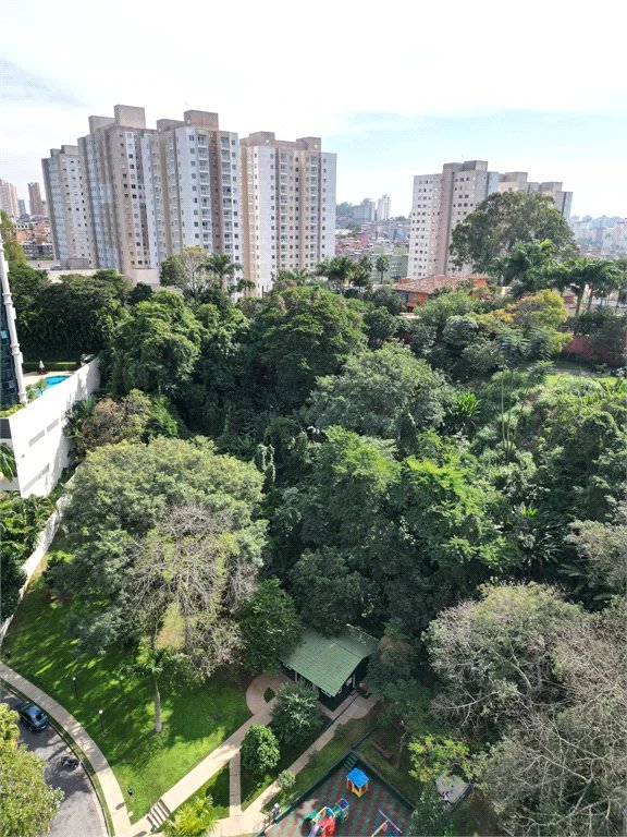 Terreno à venda em Paraisópolis, São Paulo, SP