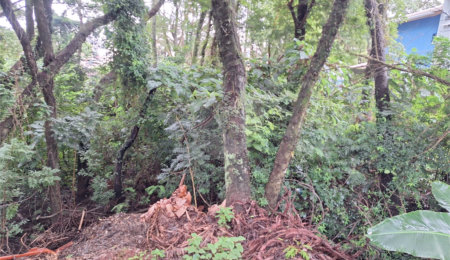 Terreno à venda em Jardim Maristela, Atibaia, SP