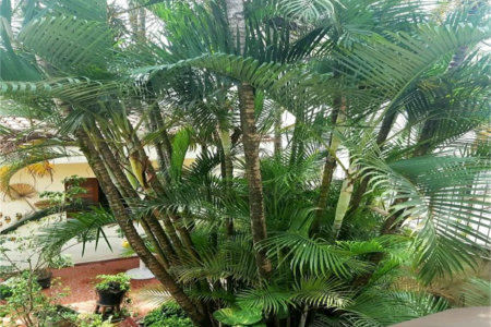 Casa à venda com 3 quartos em Vila Inah, São Paulo, SP