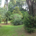 Casa à venda com 5 quartos, sendo 3 suítes, no condomínio Recanto das Flores, Indaiatuba - SP