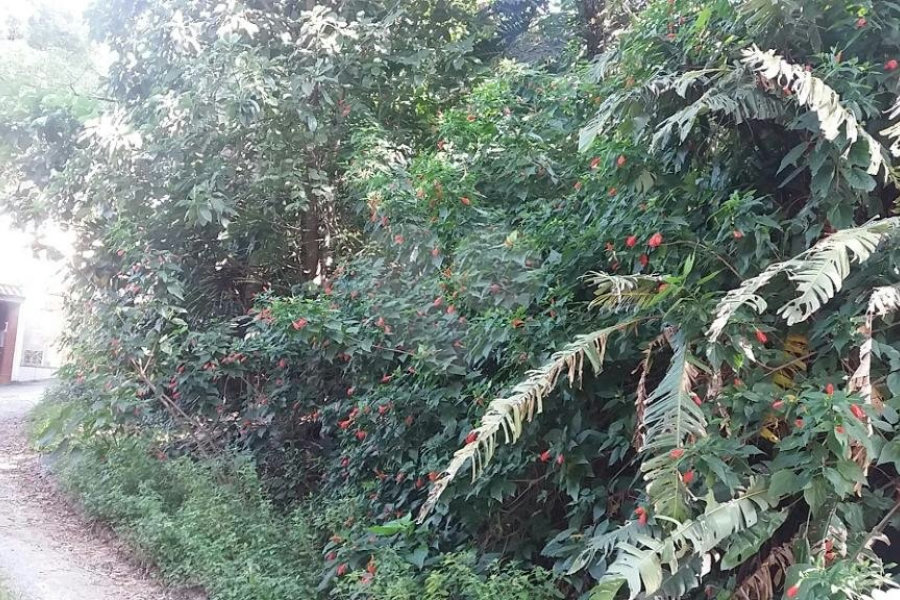 Terreno à venda em Tremembé, São Paulo, SP