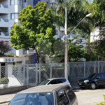 Apartamento à venda com 3 quartos, sendo 1 suíte, em Vila Paulicéia, São Paulo, SP