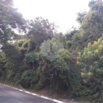 Terreno à venda em Vila Junqueira, Atibaia, SP