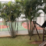 Apartamento à venda com 3 quartos, sendo 1 suíte, em Vila Aurora (zona Norte), São Paulo, SP