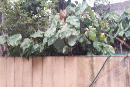 Terreno à venda com 4 quartos, sendo 1 suíte, em Santa Teresinha, São Paulo, SP