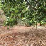 Chácara à venda com 2 quartos em Jardim Califórnia, Araraquara, SP