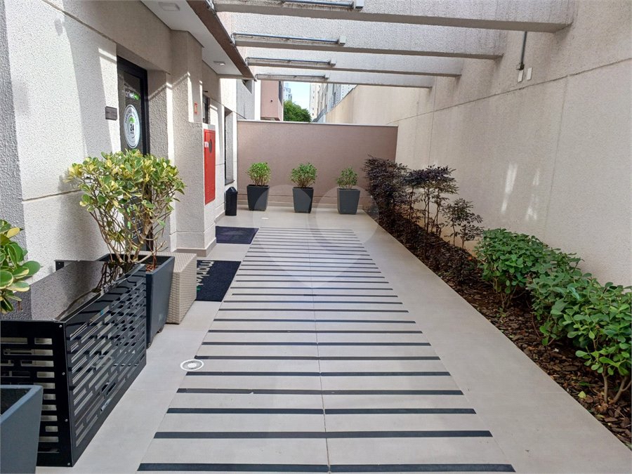 Apartamento para alugar com 2 quartos, sendo 1 suíte, em Tucuruvi, São Paulo, SP