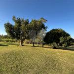 Sítio à venda com 3 quartos, sendo 1 suíte,  em Canta Galo, Itapetininga, SP